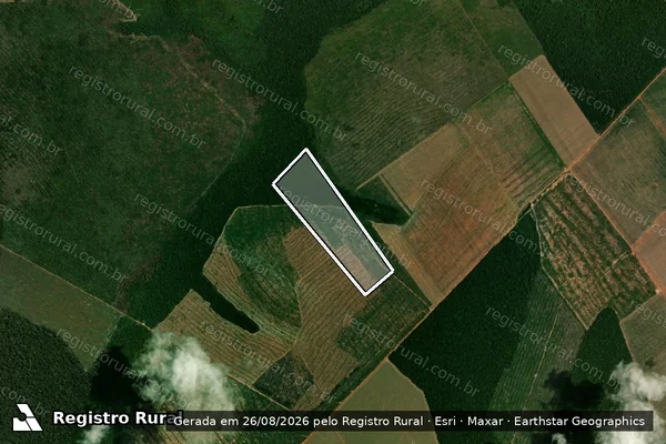 Imagem de satélite de Infração da Flora em Nova Maringá - MT