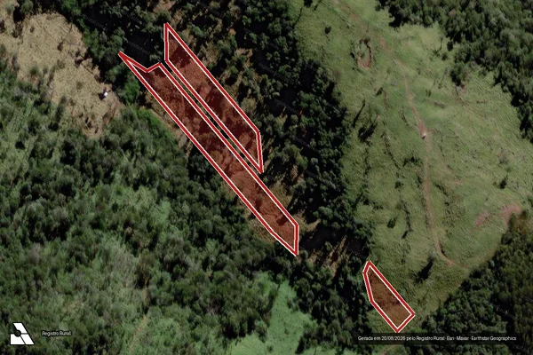 Imagem de satélite de Infração da Flora em Nova Laranjeiras - PR