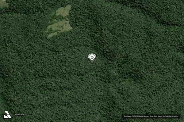Imagem de satélite de Infração da Flora em Placas - PA (marcador da localização)