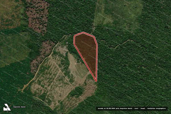 Imagem de satélite de Infração Ambiental em Apuí - AM