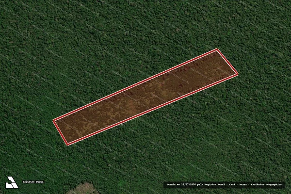 Imagem de satélite de Infração Ambiental em Novo Aripuanã - AM