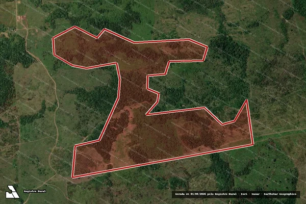 Imagem de satélite de Infração da Flora em Colniza - MT