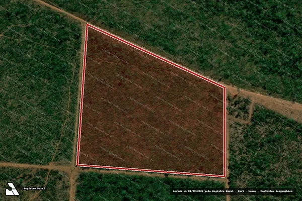 Imagem de satélite de Infração da Flora em Marcelândia - MT