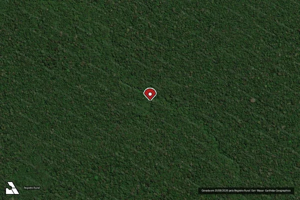 Imagem de satélite de Infração Ambiental em Porto Velho - RO (marcador da localização)
