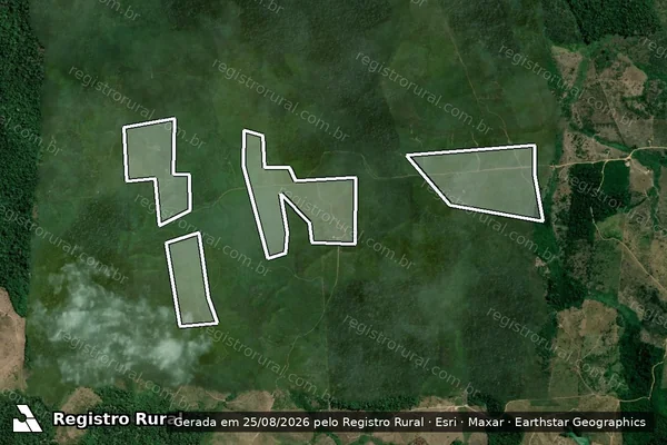 Imagem de satélite — Embargo IBAMA — Infração da Flora — Pacajá/PA