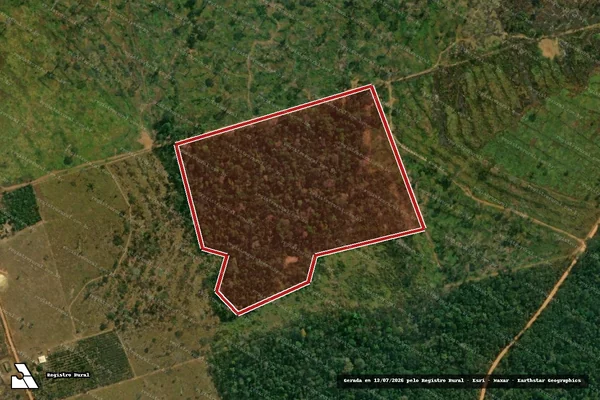Imagem de satélite de Infração da Flora em Lábrea - AM
