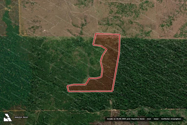 Imagem de satélite de Infração Ambiental em Colniza - MT