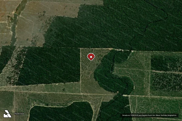 Imagem de satélite de Infração da Flora em Porto Velho - RO (marcador da localização)