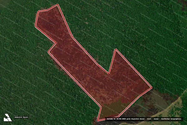Imagem de satélite de Infração Ambiental em Apuí - AM
