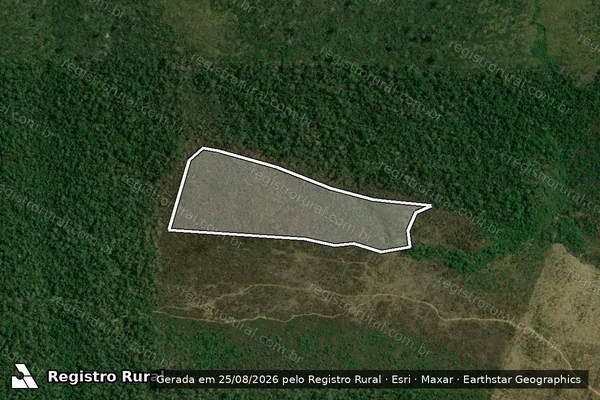 Imagem de satélite de Infração da Flora em Apuí - AM