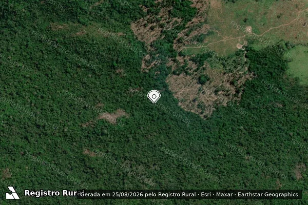 Imagem de satélite de Infração da Flora em São Félix do Xingu - PA (marcador da localização)