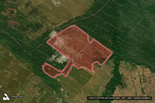 Imagem de satélite de Infração da Flora em Urupá - RO