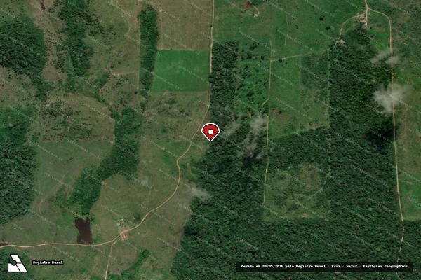 Imagem de satélite de Infração Ambiental em Anapu - PA (marcador da localização)