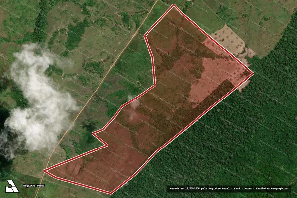 Imagem de satélite de Infração Ambiental em Caroebe - RR