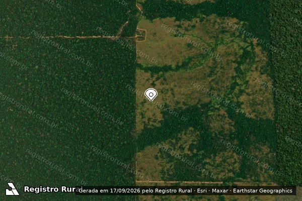 Imagem de satélite — Embargo IBAMA — Infração da Flora - Humaitá/AM