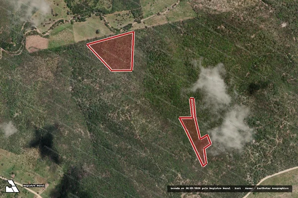 Imagem de satélite de Infração da Flora em Belo Monte - AL