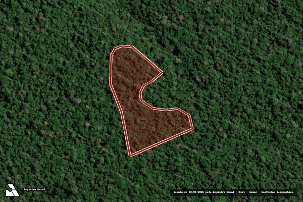 Imagem de satélite de Infração da Flora em Anapu - PA