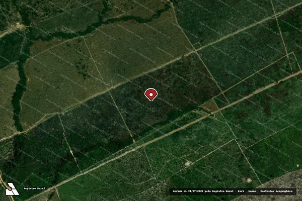 Imagem de satélite de Infração Ambiental em Porto Velho - RO (marcador da localização)