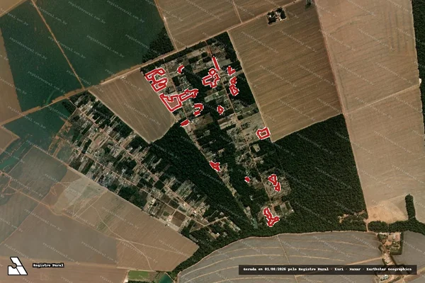 Imagem de satélite de Infração da Flora em Sinop - MT