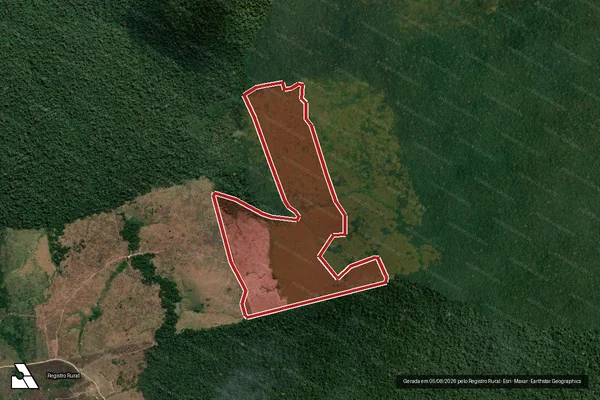 Imagem de satélite de Infração da Flora em Novo Progresso - PA