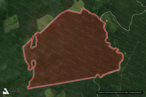 Imagem de satélite de Infração da Flora em Altamira - PA