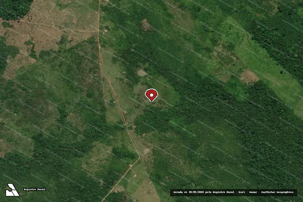 Imagem de satélite de Infração Ambiental em Anapu - PA (marcador da localização)
