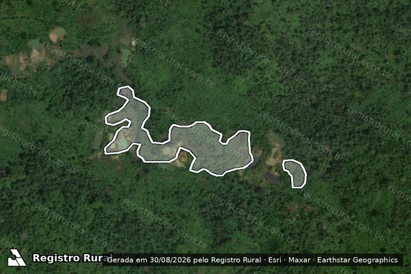 Imagem de satélite de Infração da Flora em São Félix do Xingu - PA