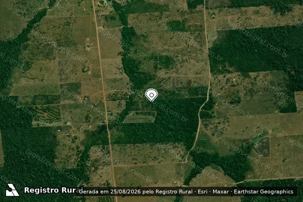 Imagem de satélite de Infração Ambiental em Guajará-Mirim - RO (marcador da localização)