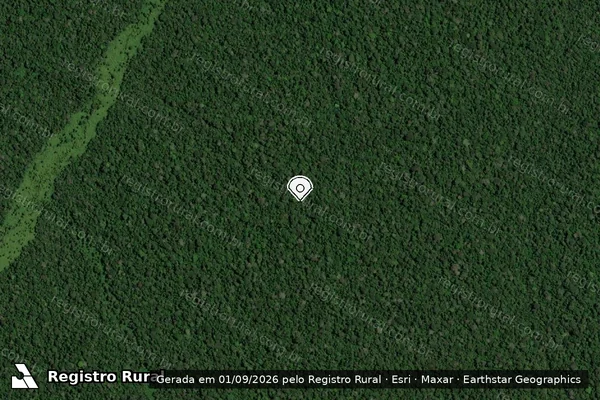 Imagem de satélite de Infração da Flora em Lábrea - AM (marcador da localização)