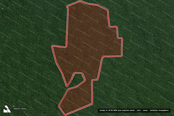 Imagem de satélite de Infração Ambiental em Portel - PA