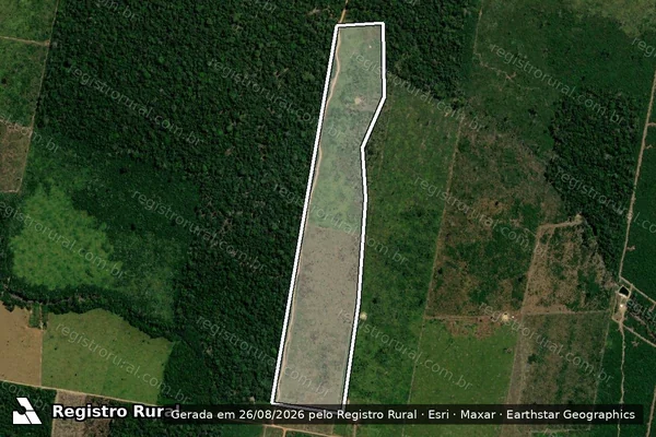 Imagem de satélite de Infração Ambiental em Porto Velho - RO