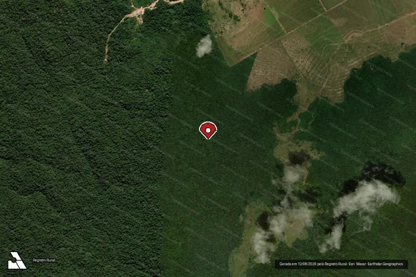 Imagem de satélite de Infração Ambiental em Nova Lacerda - MT (marcador da localização)