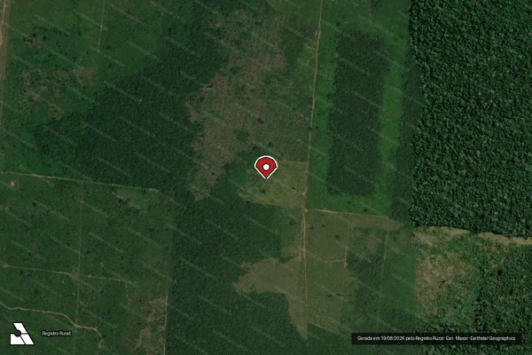 Imagem de satélite de Infração da Flora em Humaitá - AM (marcador da localização)