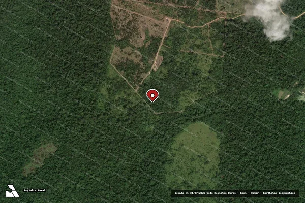 Imagem de satélite de Infração Ambiental em Novo Progresso - PA (marcador da localização)