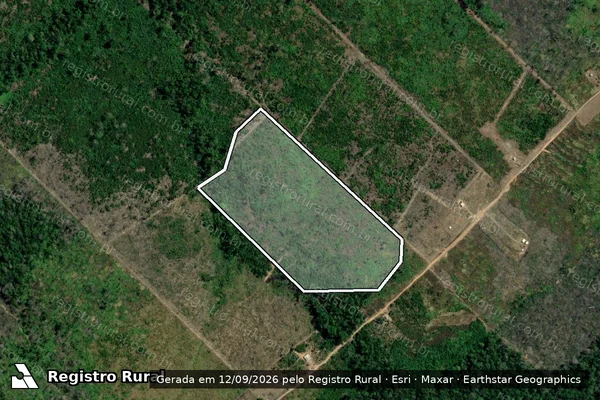 Imagem de satélite — Embargo IBAMA — Infração Ambiental - Humaitá/AM