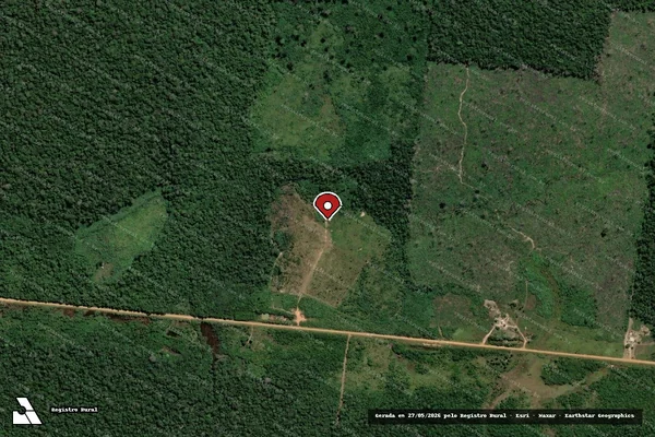 Imagem de satélite de Infração da Flora em Humaitá - AM (marcador da localização)
