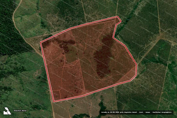 Imagem de satélite de Infração da Flora em Novo Progresso - PA