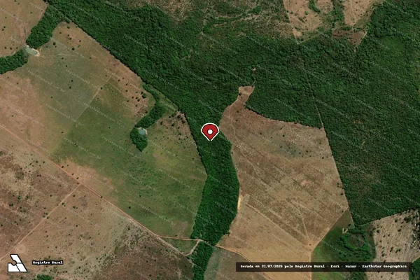 Imagem de satélite de Infração Ambiental em Dueré - TO (marcador da localização)