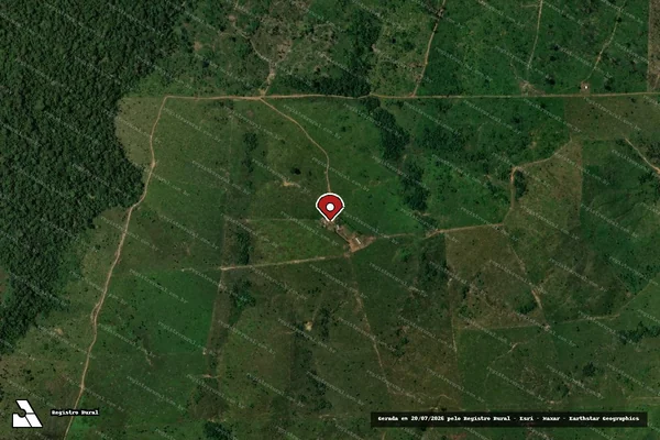 Imagem de satélite de Infração da Flora em Colniza - MT (marcador da localização)