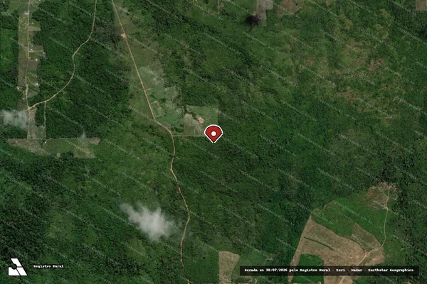 Imagem de satélite de Infração Ambiental em Ulianópolis - PA (marcador da localização)