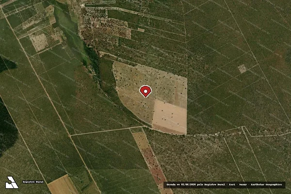 Imagem de satélite — Embargo IBAMA — Infração da Flora — Baianópolis/BA