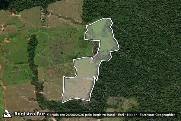 Imagem de satélite de Desmatamento em Porto Velho - RO