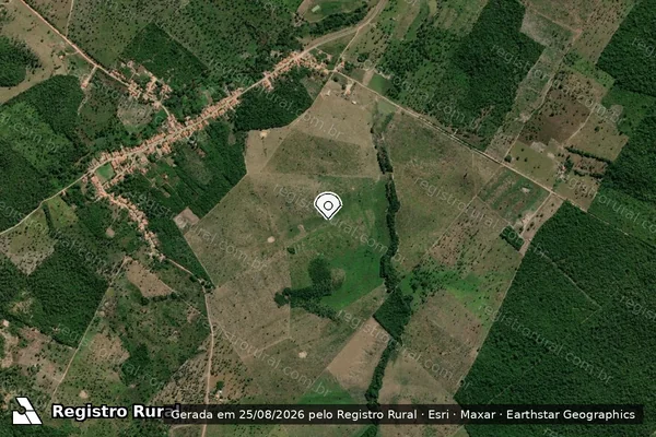 Imagem de satélite de Infração Ambiental em Sítio Novo do Tocantins - TO (marcador da localização)