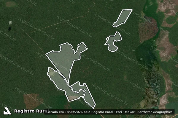 Imagem de satélite — Embargo IBAMA — Infração da Flora - Novo Aripuanã/AM
