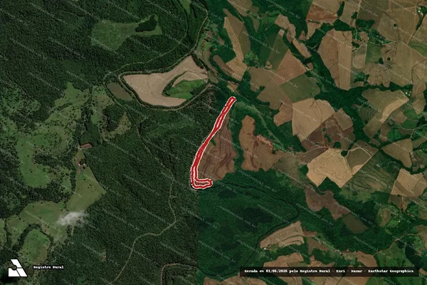 Imagem de satélite de Infração Ambiental em Pérola D'Oeste - PR