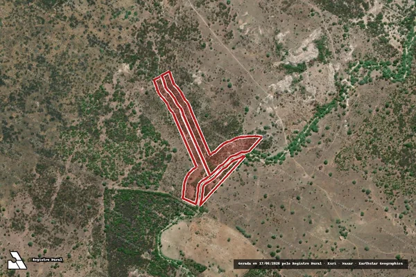 Imagem de satélite — Embargo IBAMA — Infração da Flora — Canapi/AL