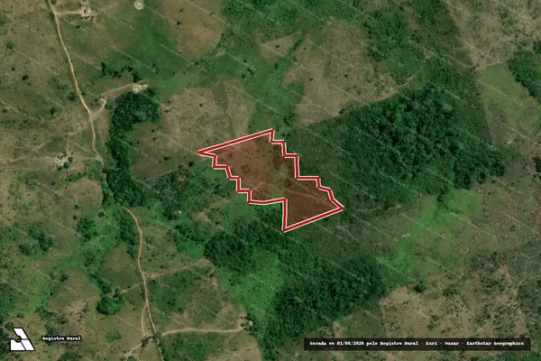 Imagem de satélite de Infração da Flora em Pacajá - PA