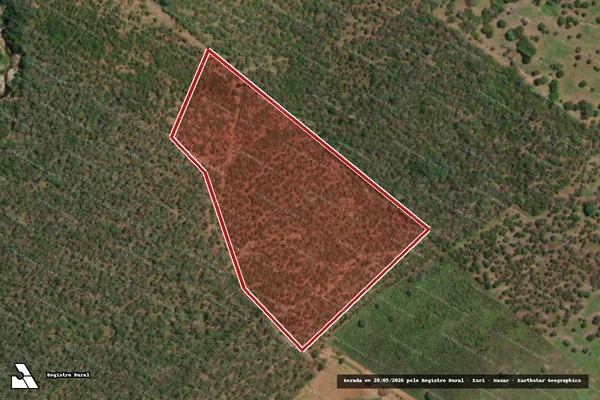 Imagem de satélite de Infração da Flora em Belo Monte - AL