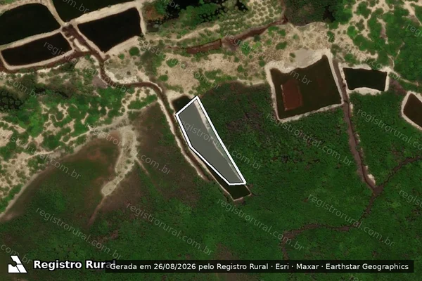 Imagem de satélite — Embargo IBAMA — Infração Ambiental - Brejo Grande/SE