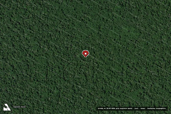 Imagem de satélite — Embargo IBAMA — Infração da Flora — Belém/PA